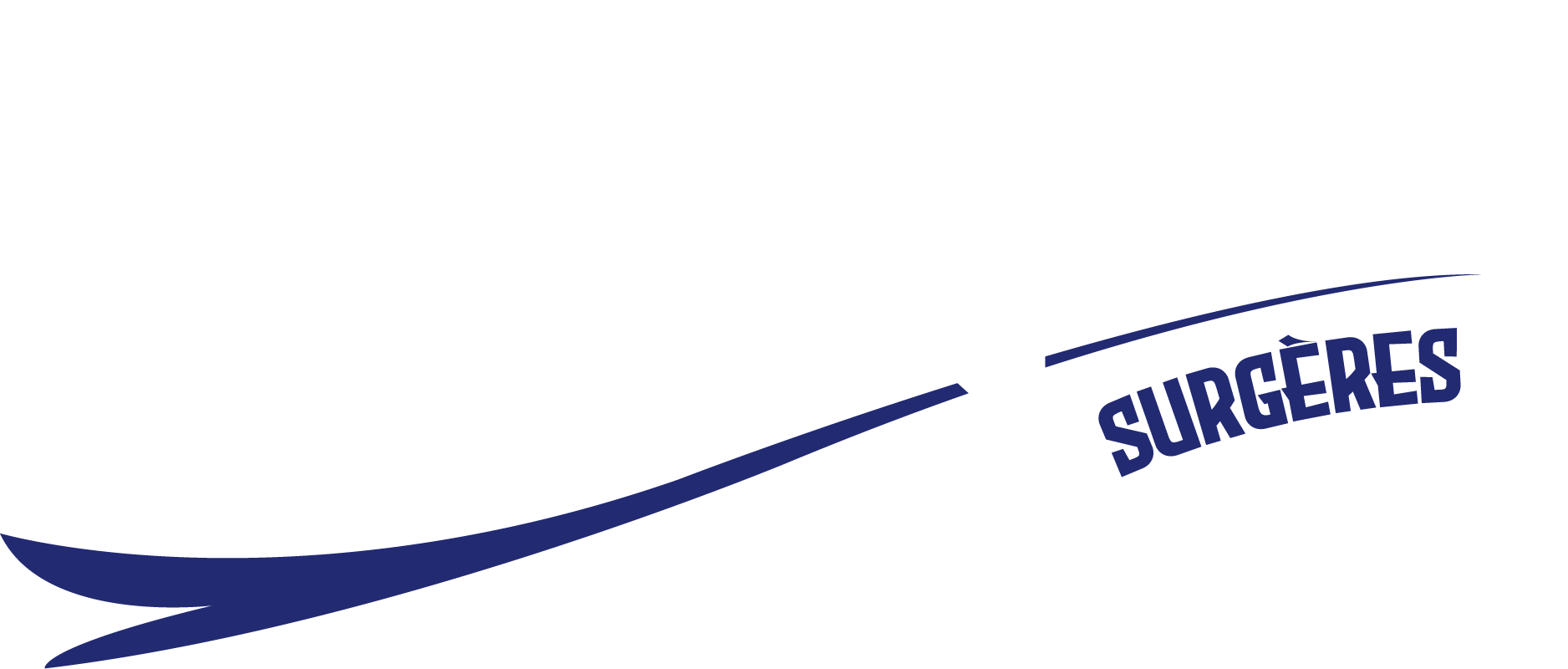 Logo Le FR blanc